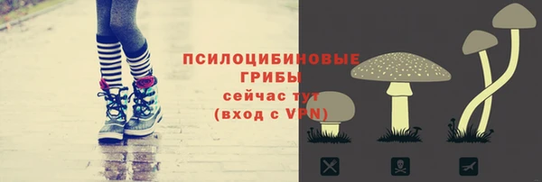спайс Киренск