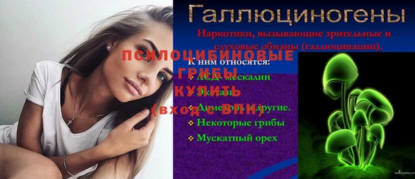 стафф Киреевск